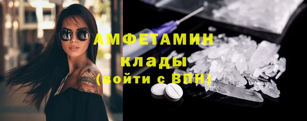 прущие грибы Нефтекумск