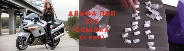 прущие грибы Нефтекумск