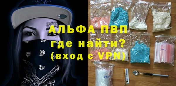прущие грибы Нефтекумск