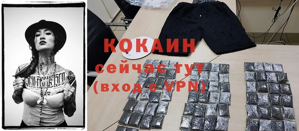 прущие грибы Нефтекумск