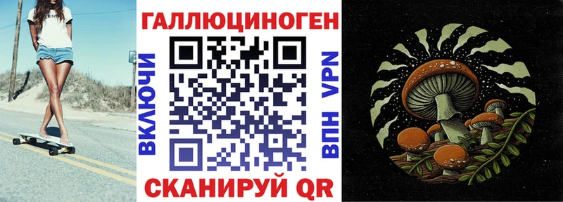 OMG ссылки  Дербент  Псилоцибиновые грибы мицелий 